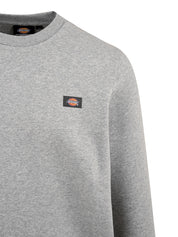 Felpa DICKIES Uomo DK0A4XCE Grigio