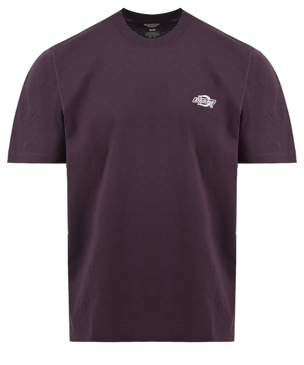 T-shirt DICKIES Uomo DK0A4YAI