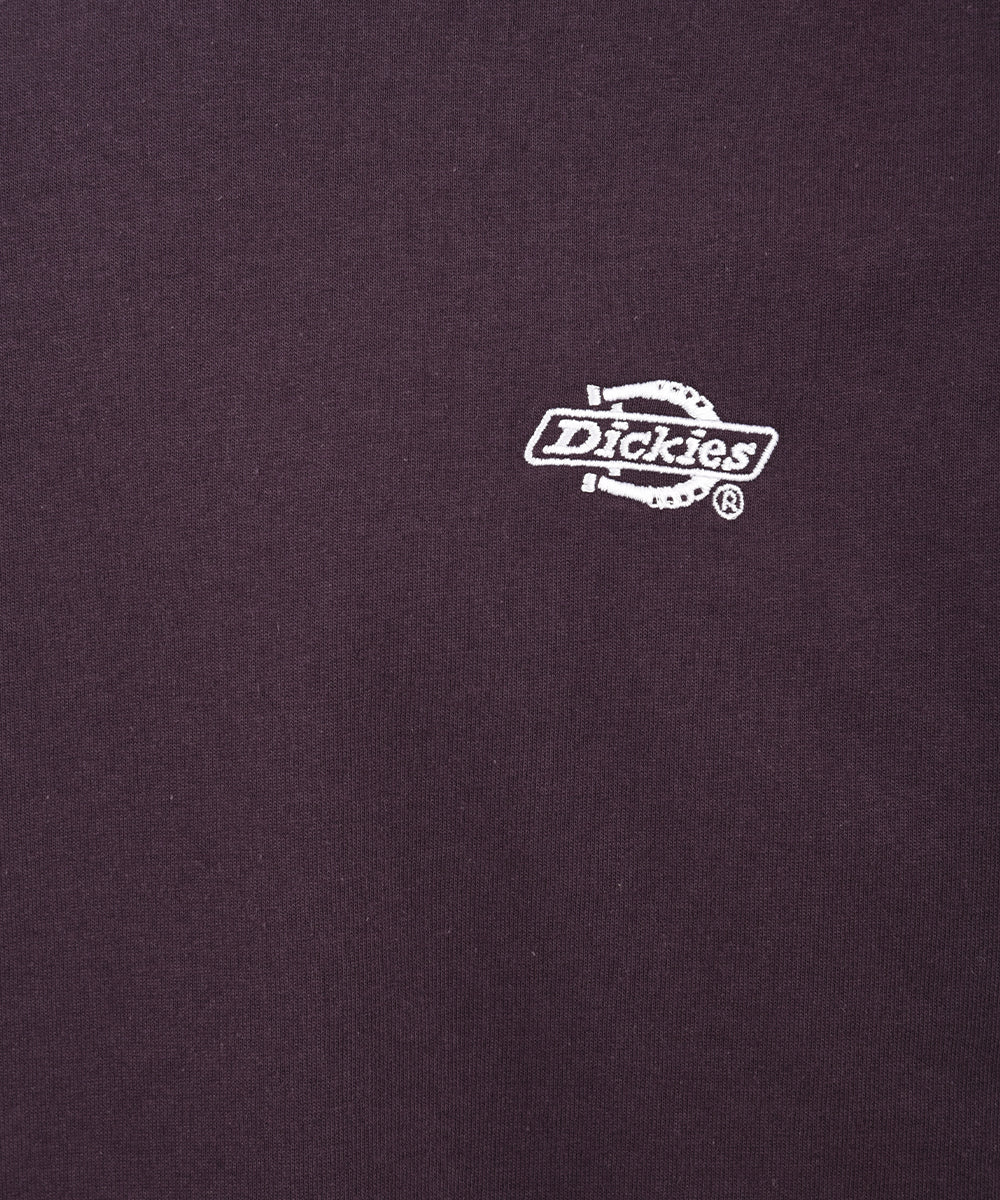 T-shirt DICKIES Uomo DK0A4YAI