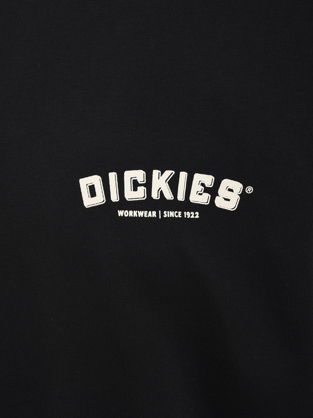 T-shirt DICKIES Uomo DK0A85SY Nero