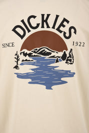 T-shirt DICKIES Uomo DK0A4YRD