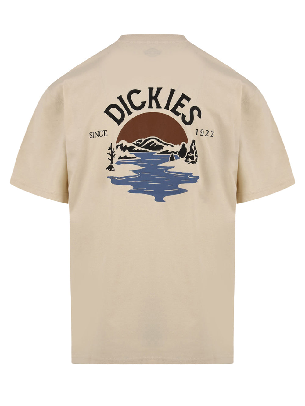 T-shirt DICKIES Uomo DK0A4YRD