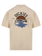 T-shirt DICKIES Uomo DK0A4YRD