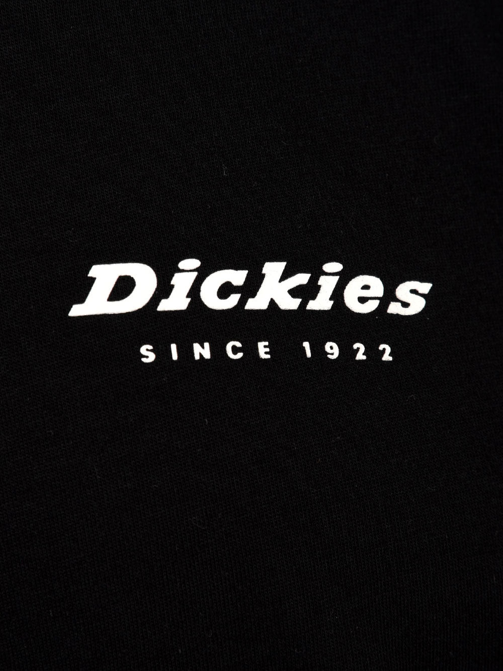 T-shirt DICKIES Uomo DK0A4Y8Q Nero