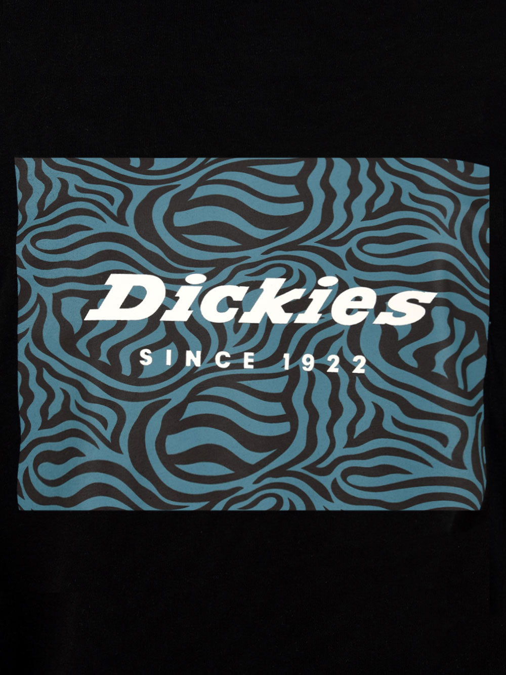 T-shirt DICKIES Uomo DK0A4Y8Q Nero